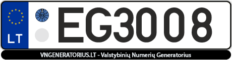 Valstybinis numeris: EG3008