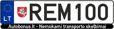 Valstybinis numeris: REM100